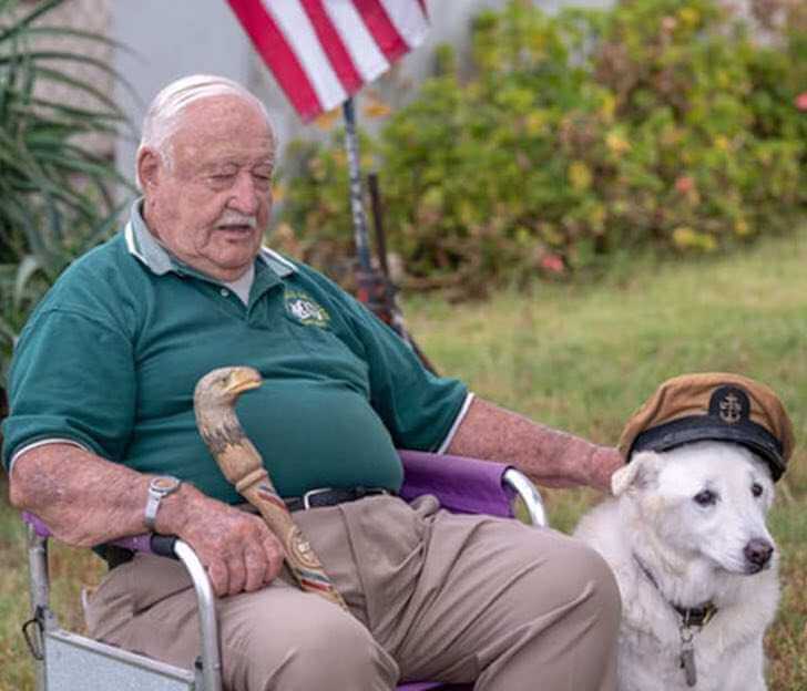 contioutra.com - Cãozinho idoso seria sacrificado porque ninguém quis adotá-lo, mas vovô de 93 anos o resgatou