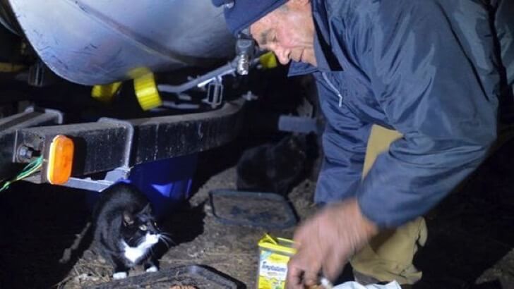Conheça as adoráveis imagens do coletor de recicláveis que alimenta gatos de rua há 22 anos contioutra.com - Conheça as adoráveis imagens do coletor de recicláveis que alimenta gatos de rua há 22 anos