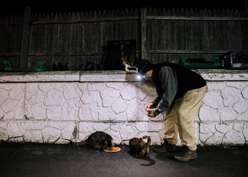 contioutra.com - Conheça as adoráveis imagens do coletor de recicláveis que alimenta gatos de rua há 22 anos