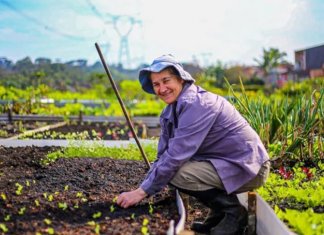 Horta urbana comunitária alimenta cerca de 550 pessoas em Curitiba (PR)