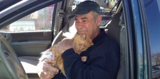 Conheça as adoráveis imagens do coletor de recicláveis que alimenta gatos de rua há 22 anos Conheça as adoráveis imagens do coletor de recicláveis que alimenta gatos de rua há 22 anos