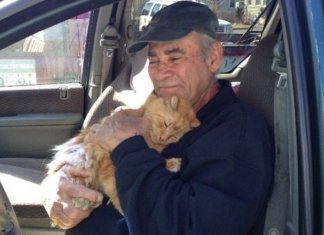 Conheça as adoráveis imagens do coletor de recicláveis que alimenta gatos de rua há 22 anos