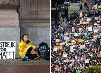 A comparação dessas fotos nos mostra como Greta Thunberg inspirou milhões