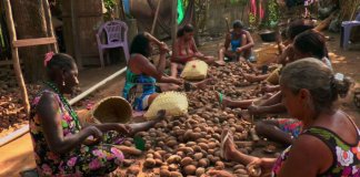 “Vozes da Floresta”, documentário que mostra a luta das mulheres nas florestas do Brasil