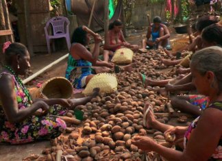 “Vozes da Floresta”, documentário que mostra a luta das mulheres nas florestas do Brasil