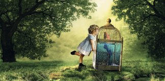 “Para sair da gaiola, é preciso ter coragem para voar.”