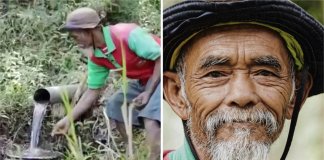 Conheça o homem de 68 anos que plantou mais de 11 mil árvores na Indonésia.