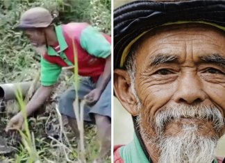 Conheça o homem de 68 anos que plantou mais de 11 mil árvores na Indonésia.