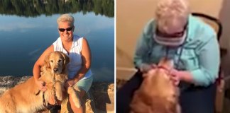 Depois de anos, essa mulher cega pôde olhar nos olhos de seu cão guia. Veja o vídeo!