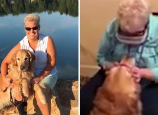 Depois de anos, essa mulher cega pôde olhar nos olhos de seu cão guia. Veja o vídeo!