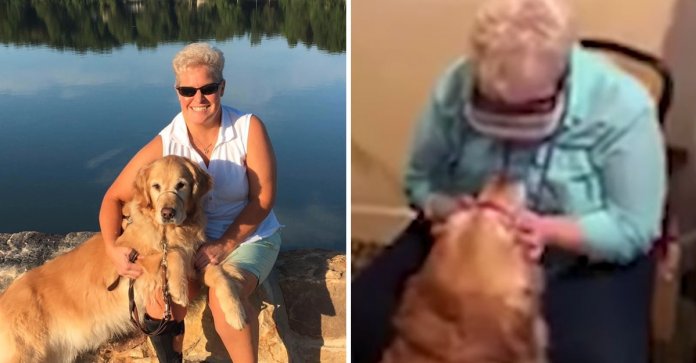 Depois de anos, essa mulher cega pôde olhar nos olhos de seu cão guia. Veja o vídeo!