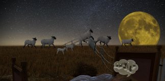 Ninguém vale a sua insônia