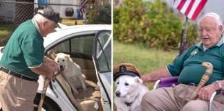 Cãozinho idoso seria sacrificado porque ninguém quis adotá-lo, mas vovô de 93 anos o resgatou Cãozinho idoso seria sacrificado porque ninguém quis adotá-lo, mas vovô de 93 anos o resgatou