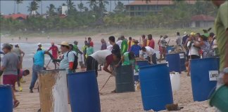 O povo se une e realiza mutirão para a limpeza das praias no litoral de Pernambuco