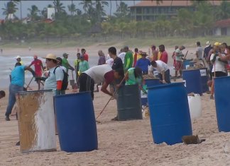 O povo se une e realiza mutirão para a limpeza das praias no litoral de Pernambuco