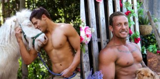 O calendário perfeito: 2020 traz bombeiros australianos e bichinhos fofos