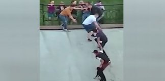 União de pessoas salva cãozinho que era levado pela corrente em águas perigosas União de pessoas salva cãozinho que era levado pela corrente em águas perigosas