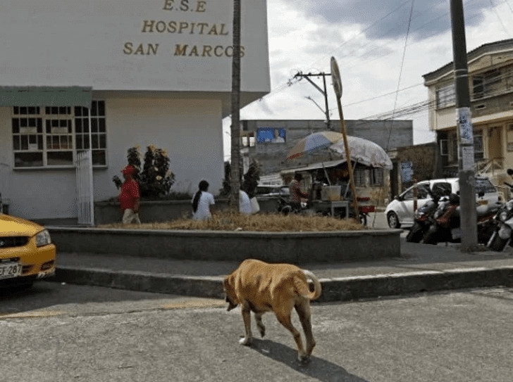 contioutra.com - Com f&eacute; e esperan&ccedil;a, c&atilde;o aguarda h&aacute; dois anos que seu dono saia do hospital