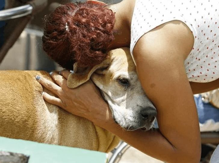 contioutra.com - Com fé e esperança, cão aguarda há dois anos que seu dono saia do hospital