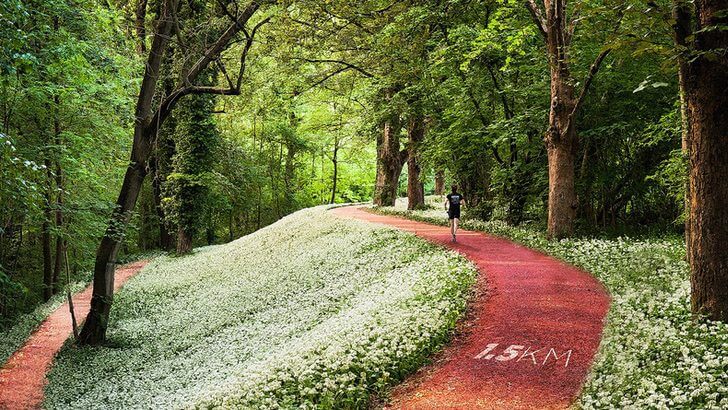 contioutra.com - Istambul criará um parque nas alturas onde será possível caminhar nas copas das árvores