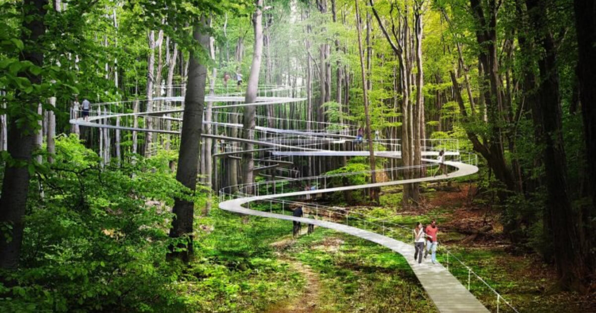 contioutra.com - Istambul criará um parque nas alturas onde será possível caminhar nas copas das árvores