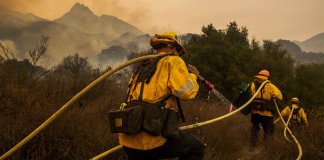 Engenheiros criam gel de aerossol que atua na prevenção de incêndios florestais