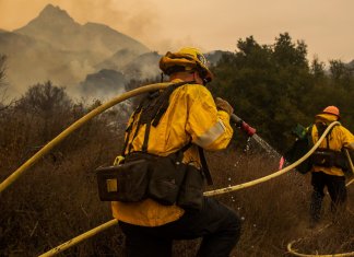 Engenheiros criam gel de aerossol que atua na prevenção de incêndios florestais