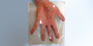 USP cria plástico 100% biodegradável com resíduos da agroindústria