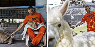 Nesta prisão, detentos cuidam de animais abandonados e ambos ganham uma nova chance