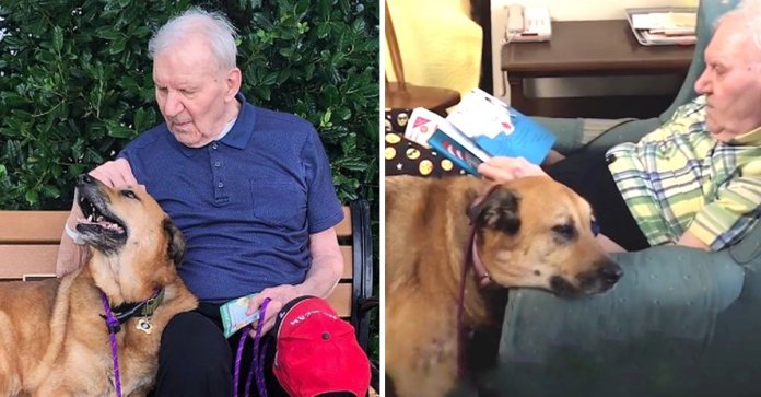 Essa cadelinha é o anjo da guarda de seu dono com Alzheimer. Ele a enche de beijos para não esquecê-la.