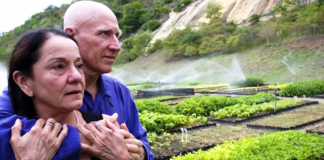 Casal de brasileiros recupera floresta do tamanho de mais de mil campos de futebol em MG