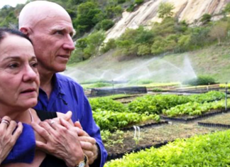 Casal de brasileiros recupera floresta do tamanho de mais de mil campos de futebol em MG