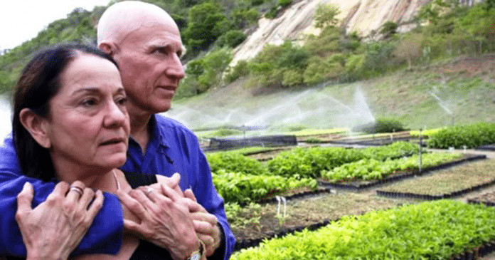 Casal de brasileiros recupera floresta do tamanho de mais de mil campos de futebol em MG