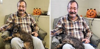 Este senhor quis adotar um cachorrinho idoso. Ele queria um companheiro que o entendesse.