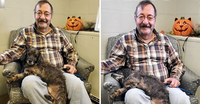 Este senhor quis adotar um cachorrinho idoso. Ele queria um companheiro que o entendesse.