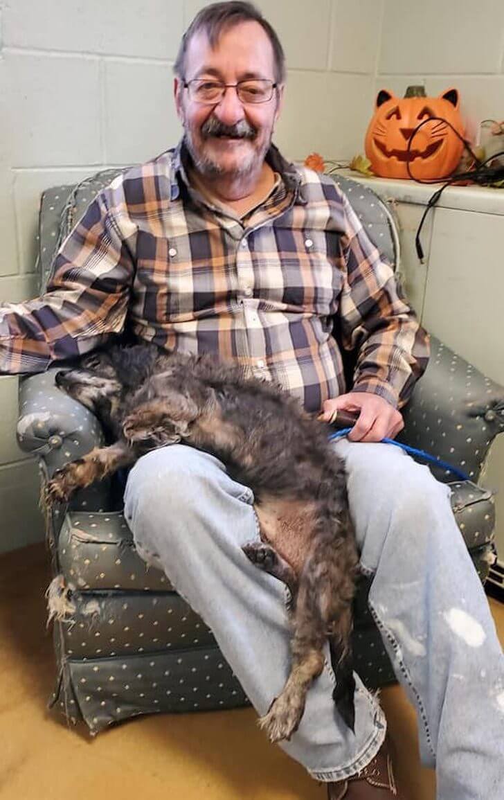 contioutra.com - Este senhor quis adotar um cachorrinho idoso. Ele queria um companheiro que o entendesse.
