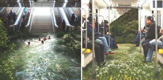 Fotógrafo cria sequência de fotos que mescla a natureza selvagem com nossas cidades grandes.