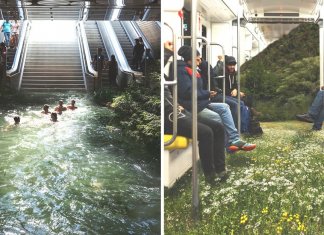 Fotógrafo cria sequência de fotos que mescla a natureza selvagem com nossas cidades grandes.