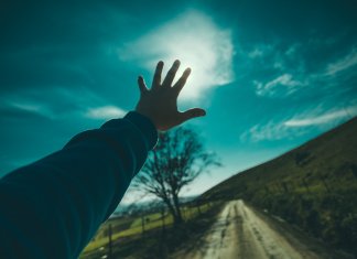 As pessoas feridas não sabem lidar com o afeto