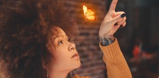 Durma lagarta e acorde borboleta