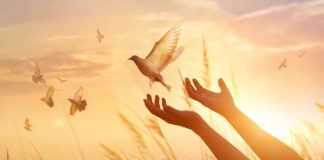 O que você espera de 2020?