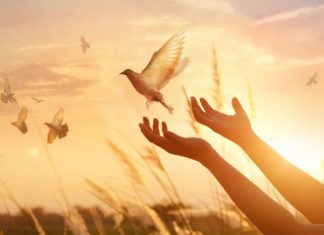 O que você espera de 2020?