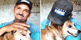 “Eu podia perder tudo menos ele”, diz pedreiro ao reencontrar seu cachorrinho após incêndio.