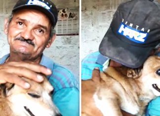 “Eu podia perder tudo menos ele”, diz pedreiro ao reencontrar seu cachorrinho após incêndio.