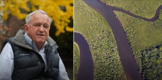 Bilionário cria fundo para a conservação de 30% do planeta até 2030 Bilionário cria fundo para a conservação de 30% do planeta até 2030