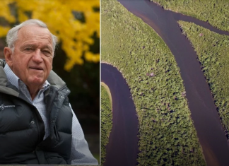 Bilionário cria fundo para a conservação de 30% do planeta até 2030