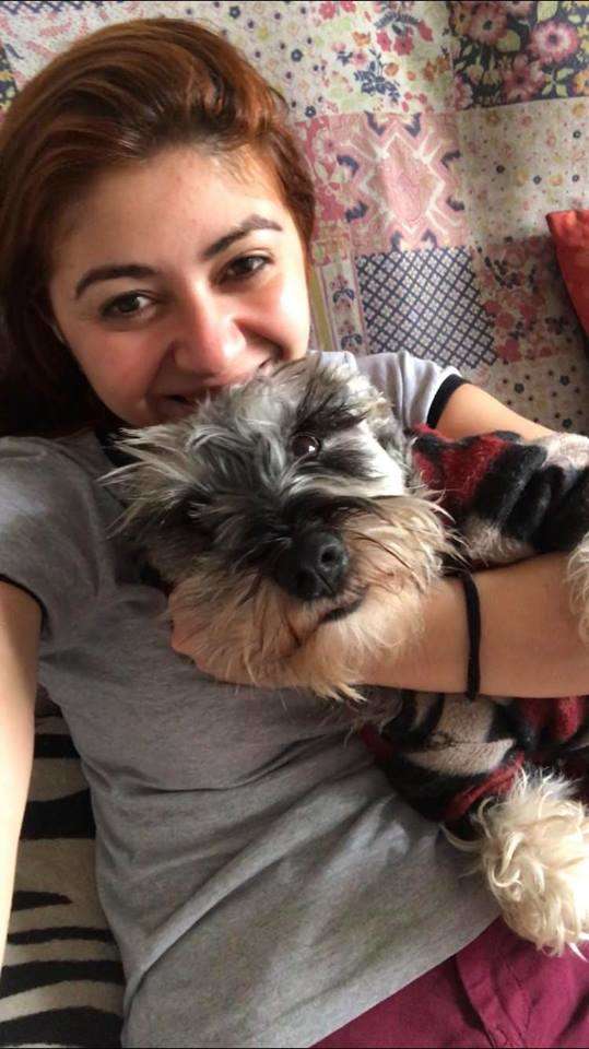 contioutra.com - Cãozinho adotado economiza ração em seu potinho devido a traumas do passado