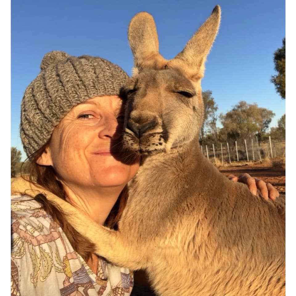 contioutra.com - Canguru abraça fortemente os voluntários que o salvaram na Austrália