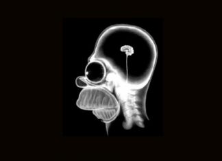 “A ignorância é a mãe de todos os males”