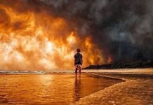 Tragédias na Amazônia e na Austrália deixam uma certeza: Nossos hábitos estão destruindo o planeta